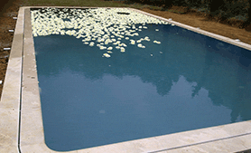 CASA POOLS, LUXURY FIBERGLASS SWIMMING POOLS LEBANON, GRP SWIMMING POOLS, SWIMMING POOL BLOG, a swimming pools company lebanon, dubai, UAE, watermaster, aquarius, electromechanical, iraq, erbil, intex, above ground, water treatment, FIBERPOOL, luxury fiberglass swimming pools, contractors, construction, maintenance, contractor, developer, sex, advanced pools and spas, sex in water, classic pool and spa, composite pools, custom fiberglass pools, Egypt, fiberglass inground pools, fiberglass pools, filter ozone, in ground pools, filtration, indoor pool, piscina, piscine, piscine polyester, pool games, Pool search, Pool spa living, prefab inground pools, Sports pools, waterworks , مسابح مسبقة الصنع - Lebanon